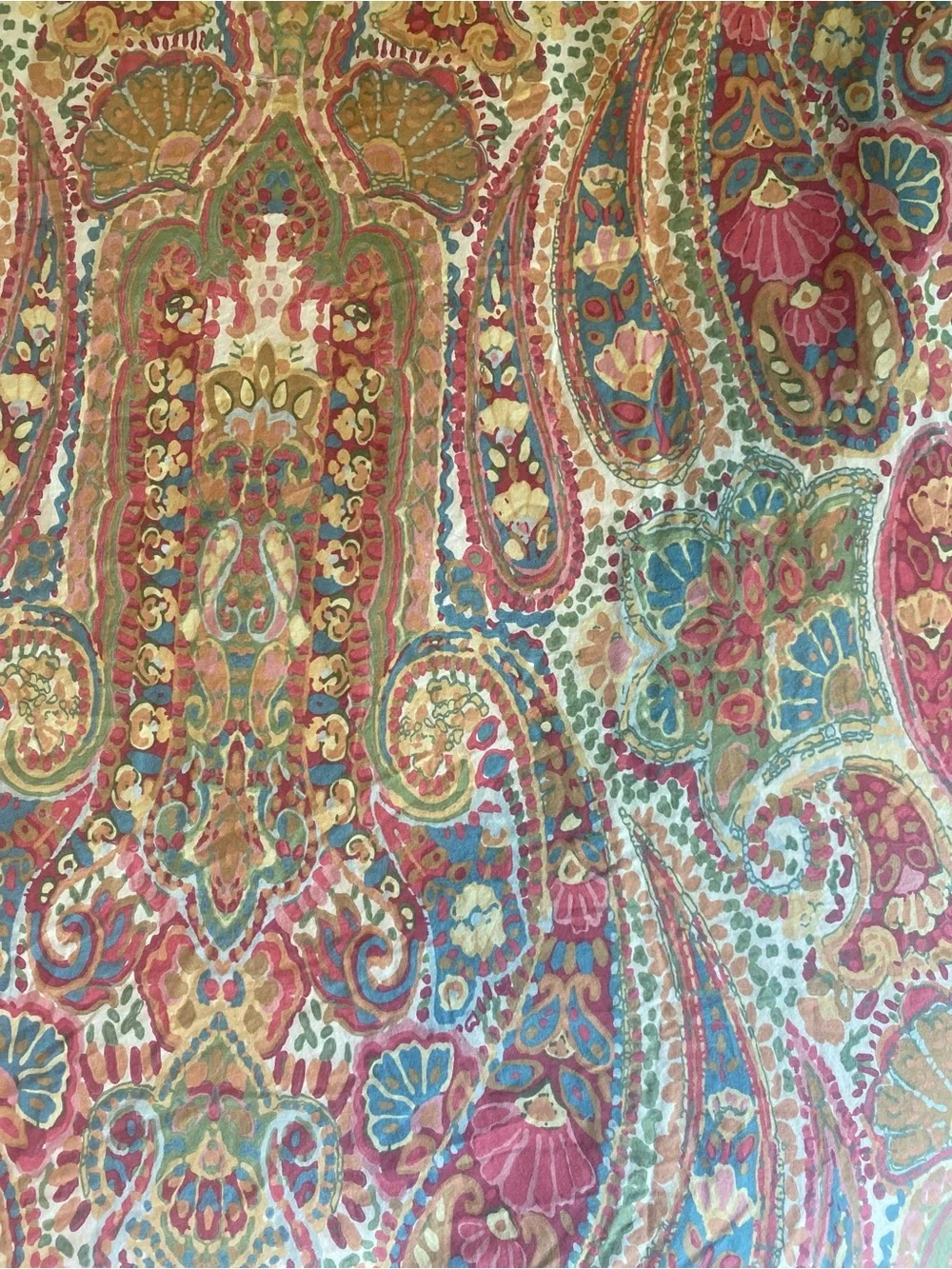 Pottery Barn Warm Paisley King Duvet + 3 Euro Shams